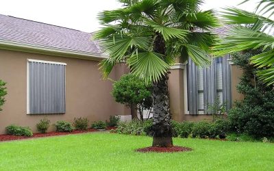 How Do Storm Shutters Stay Strong In Extreme Weather?